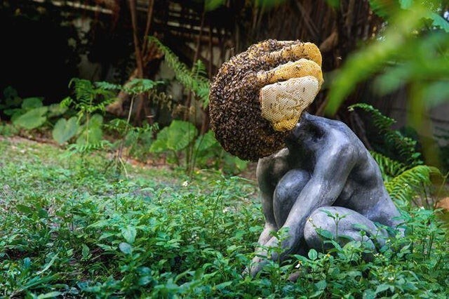 Пчелы сделали себе улей
