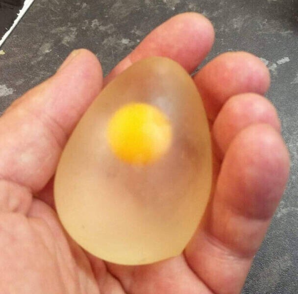 Так выглядит сырое яйцо, если его очистить