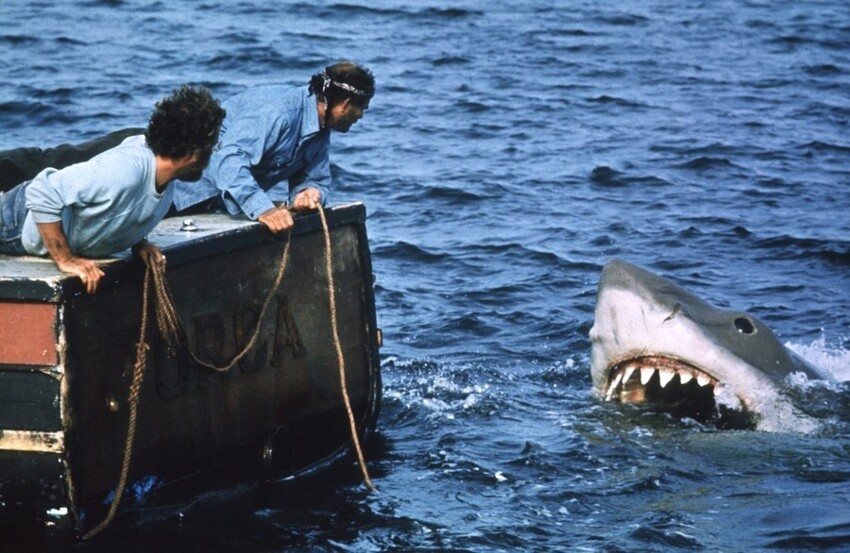 Как снимали знаменитую сцену первого нападения акулы в «Челюстях»