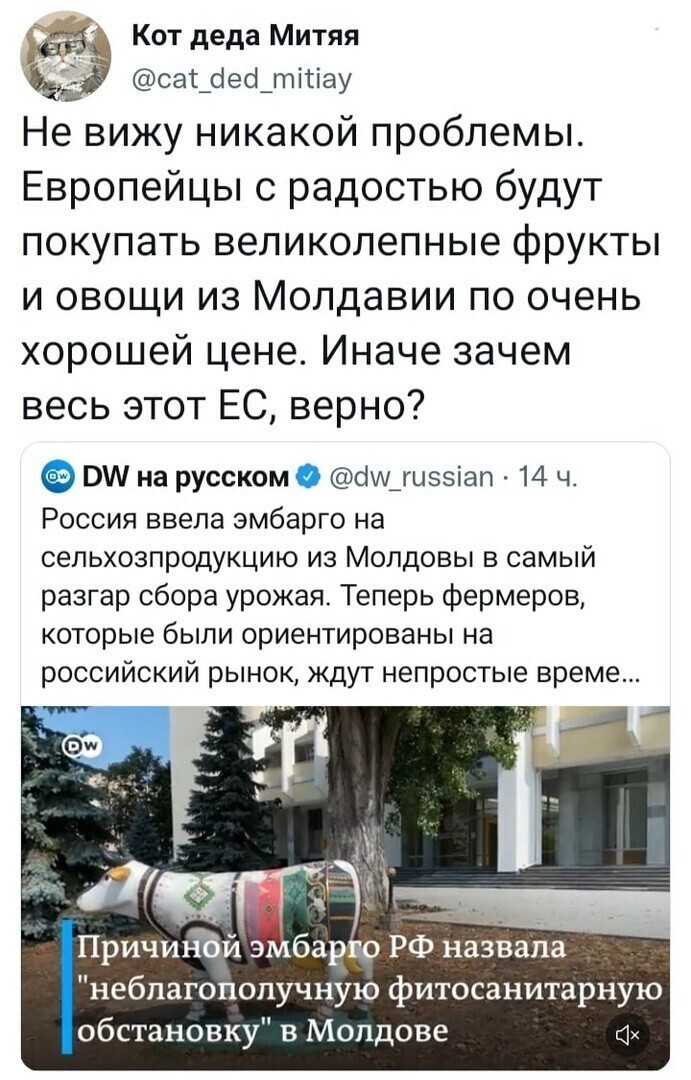 О политике и не только