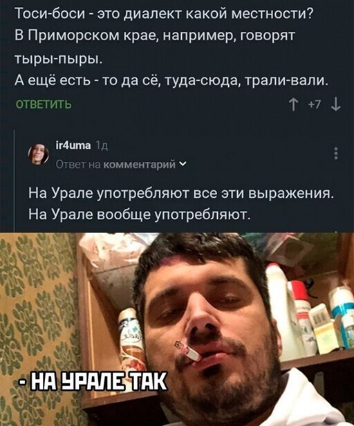 Смешные и познавательные картинки