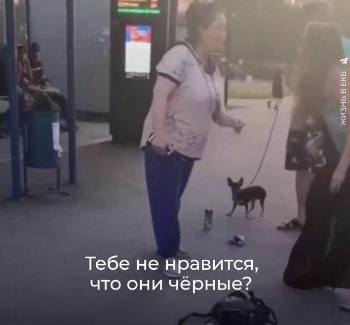 Урок толерантности в Екатеринбурге: Две белые, пьяные женщины подрались из-за расизма