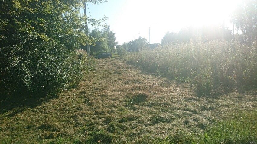 Когда всё лето бухал и, наконец, скосил траву у дома