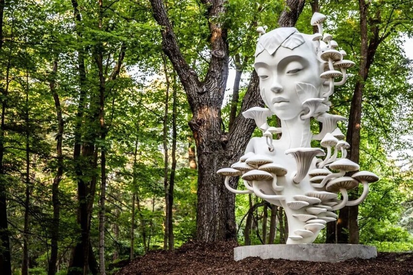 16 работ от скульптора чьи сюрреалистические статуи ошеломляют своей красотой