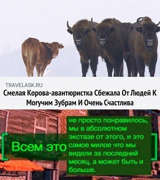 Смешные и познавательные картинки