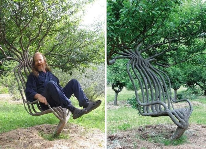 15. Художник потратил 8 лет, чтобы сделать это кресло из дерева, используя метод постепенного перенаправления ветвей по мере их роста