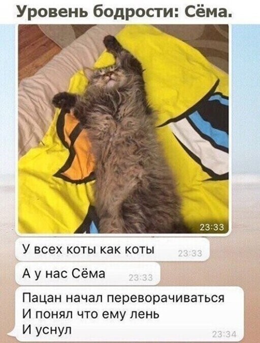 Смешные и познавательные картинки