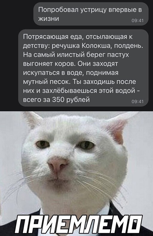 Смешные и познавательные картинки