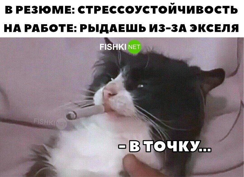 В точку 
