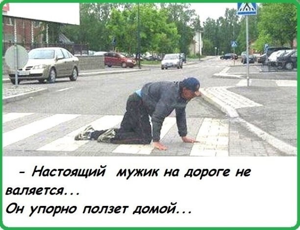 Просто субботняя ржака