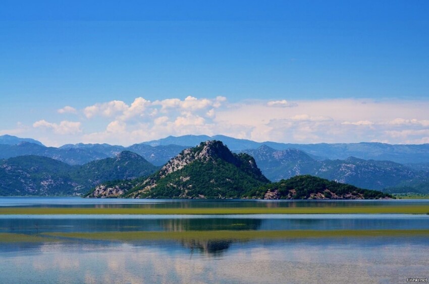 Шко́дер или Скада́рское о́зеро — крупнейшее озеро Балканского полуострова, ра...