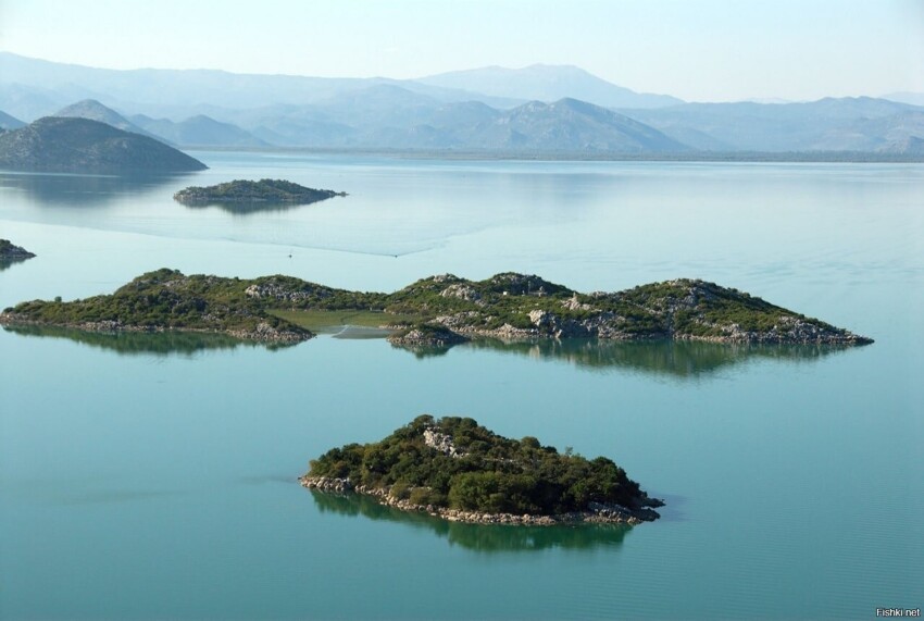 Шко́дер или Скада́рское о́зеро — крупнейшее озеро Балканского полуострова, ра...