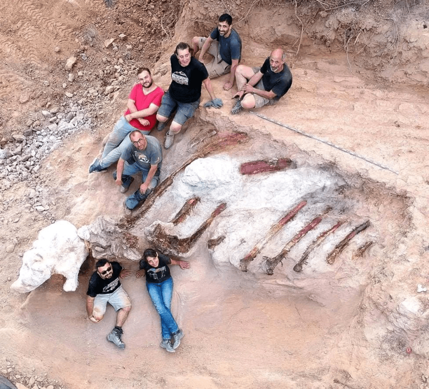 В Португалии нашли самый большой в Европе скелет динозавра