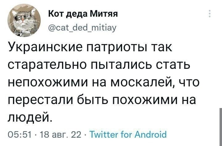 О политике и не только