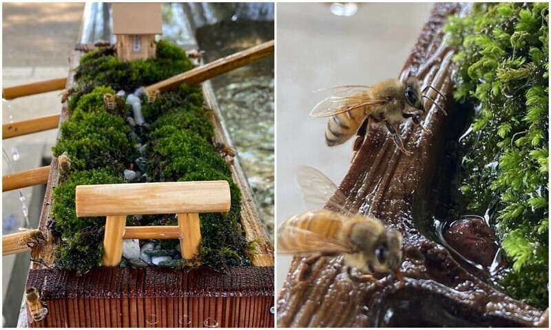 Японский храм возвёл необычную "станцию" для пчёл