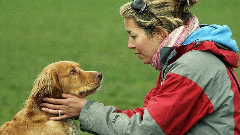 15. Исследования доказали, что собакам приятно слышать ласковый "высокий" голос, которым с ними разговаривают хозяева