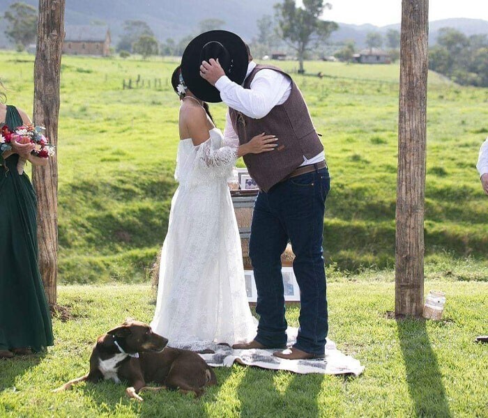Свадебный фотограф показала "фотобомбу" с собакой