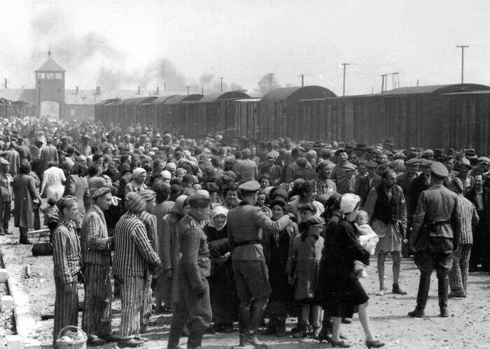 29. Нацисты отбирают венгерских евреев для отправки в газовую камеру концлагеря Освенцим. 1944 год
