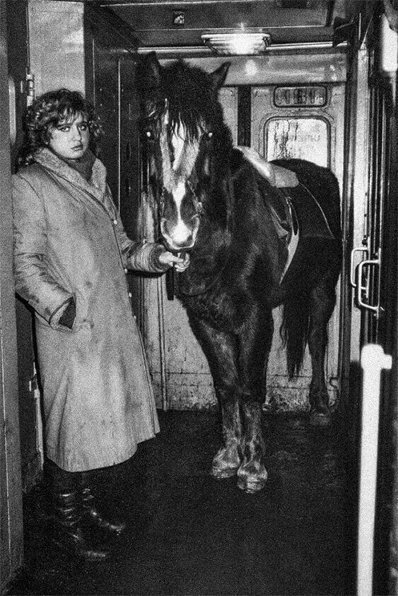 Женщина перевозит лошадь в электричке, Санкт-Петербург, 1993 год