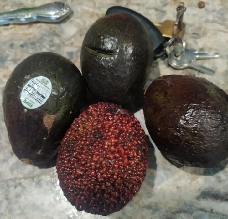 Красный авокадо