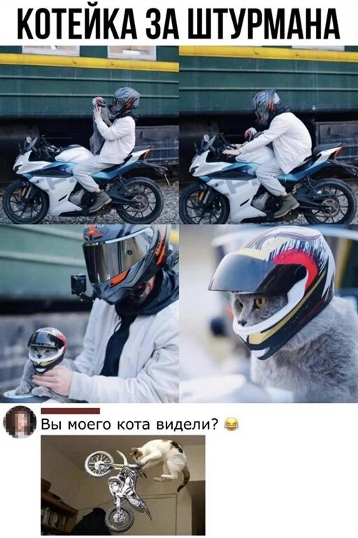 3-14.jpg.webp