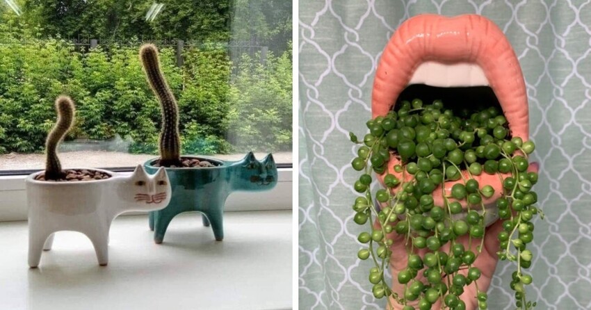 15 случаев, когда люди превратили скучные горшки для растений в настоящие арт-объекты