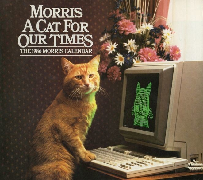 Календарь «Моррис, кот для нашего времени», посвященный современным изобретениям