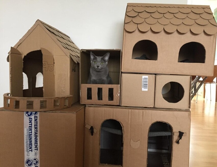 Кошкин дом из обычных коробок