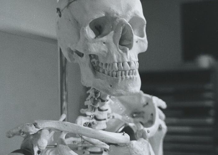 Во время съемок фильма "Полтергейст" (1982) использовались настоящие скелеты (они были дешевле, чем реквизит)