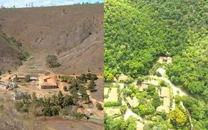 Супруги 20 лет сажали деревья и смогли восстановить целую экосистему