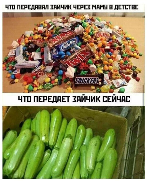 Смешные и познавательные картинки