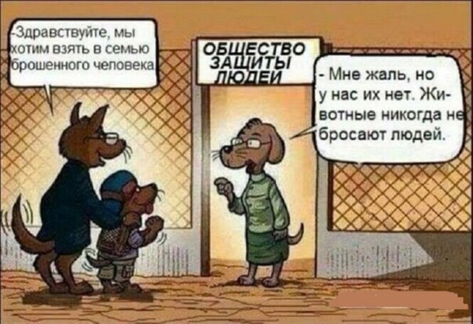 Смешные и познавательные картинки