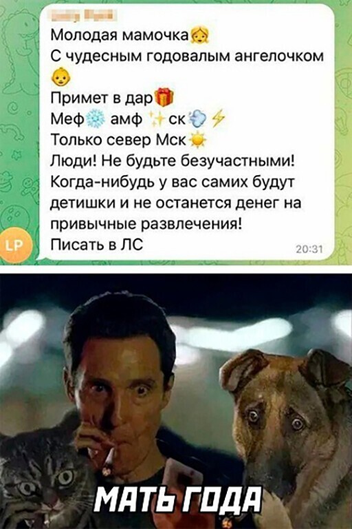 Смешные и познавательные картинки