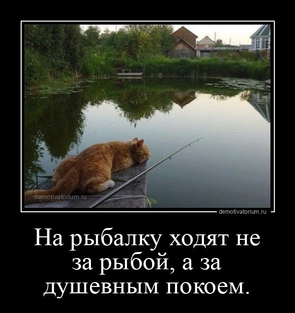 На рыбалку ходят не за рыбой, а за душевным покоем