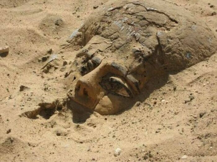 Деревянный саркофаг показался из песка в Абидосе, Египет