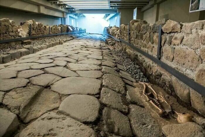 Римская дорога обнаружена во время раскопок на месте строительства нового Макдональдса в Марино, Италия. Впоследствии в ресторане сделали стеклянный пол с видом на место раскопок