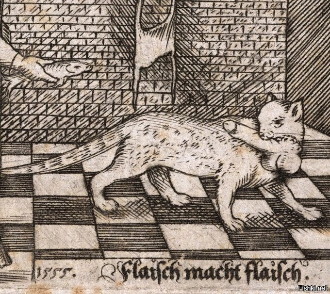 Плохой котик, Германия, 1555 год