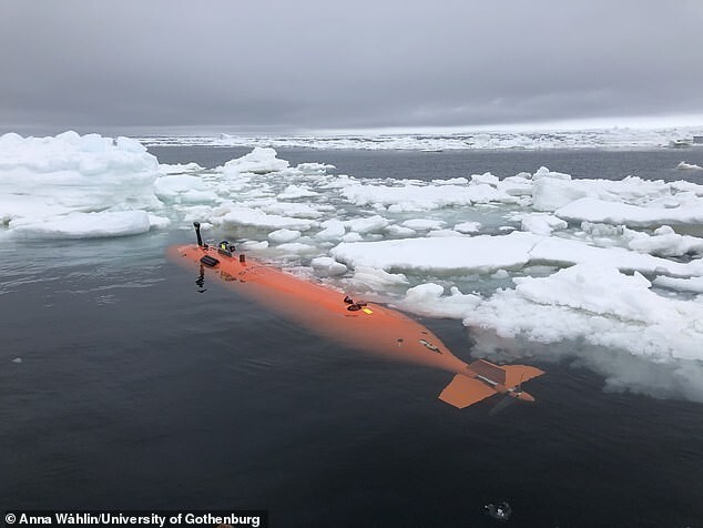 «Ледник судного дня» в Антарктиде держится на честном слове, выяснили ученые