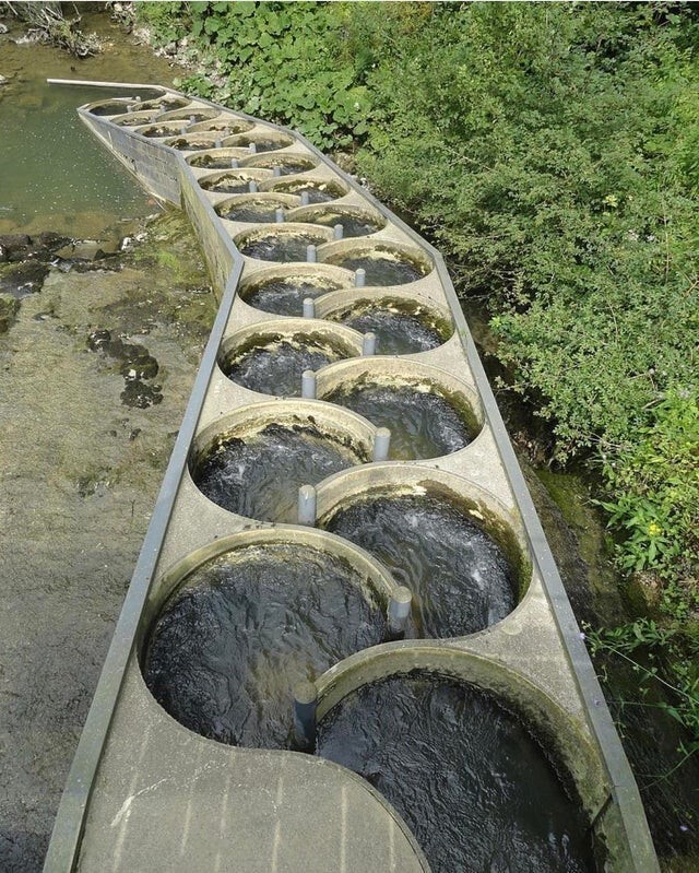 Это лестница для рыб в Швейцарии, ее создали, чтобы морские плавучие могли спокойно мигрировать 