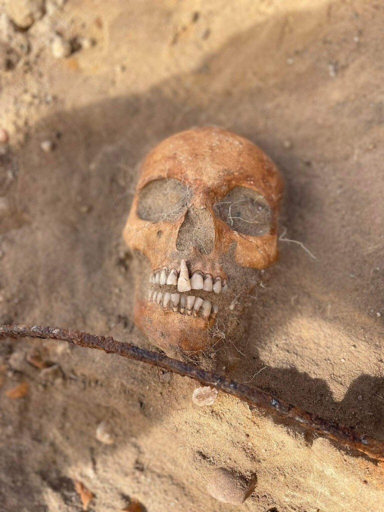 В Польше нашли скелет «вампирши» с серпом поперек горла, мешающим ей восстать из мертвых