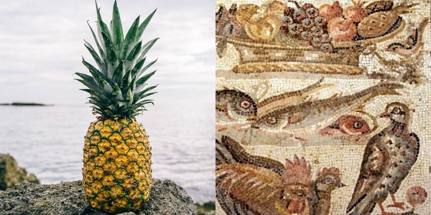 Тот ещё фрукт: как южноамериканский плод очутился на древнеримской мозаике