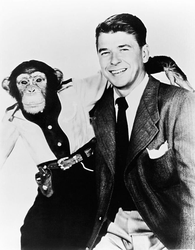 Рональд Рейган с шимпанзе