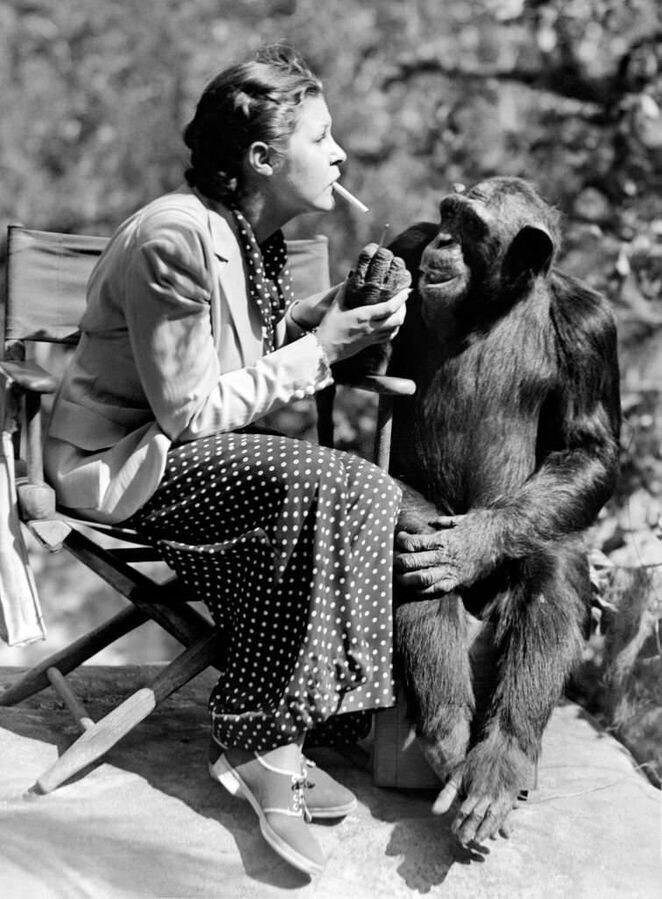 Марта Рэй с шимпанзе, 1936 год