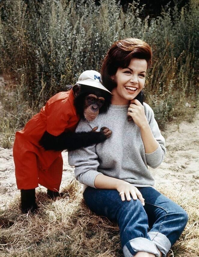Аннет Фуничелло с шимпанзе