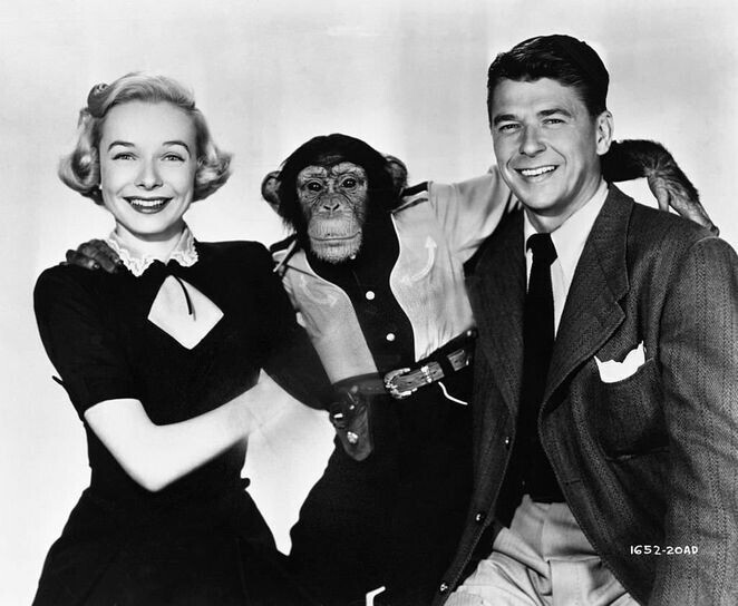 Дайана Линн и Рональд Рейган с шимпанзе, 1959 год
