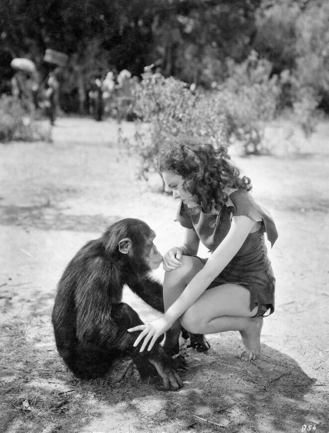 Морин О'Салливан с шимпанзе