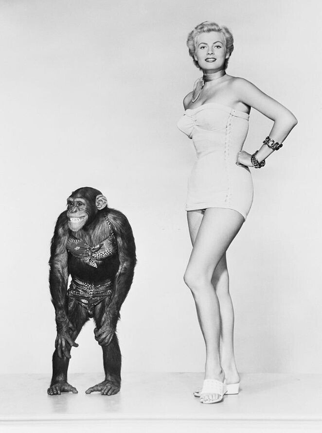 Анита Экберг с шимпанзе