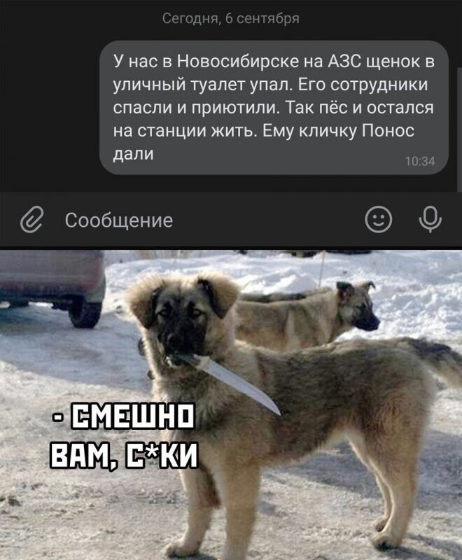 Скрины из соцсетей