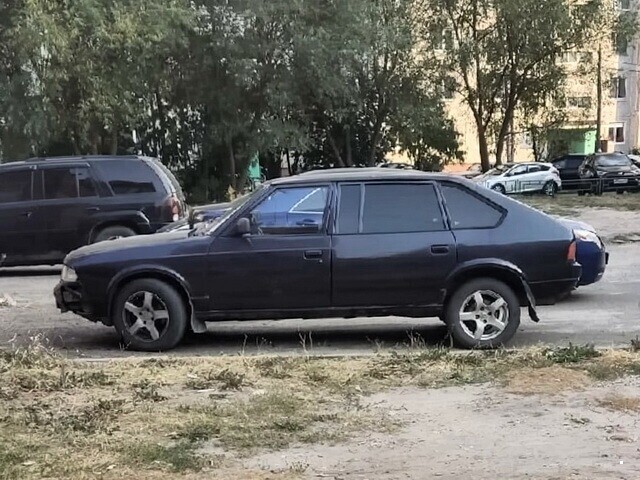 Автовсячина