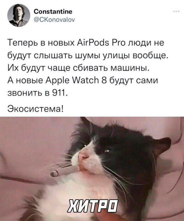 Скрины из соцсетей